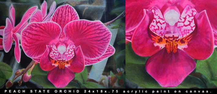 Orchid one