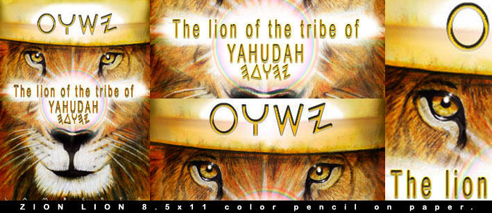 Lion of the tribe of YAHUDAH